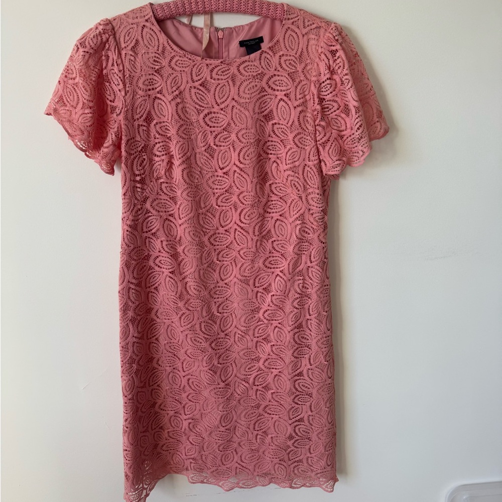 Ann Taylor Coral Pink Lace Shift Dress